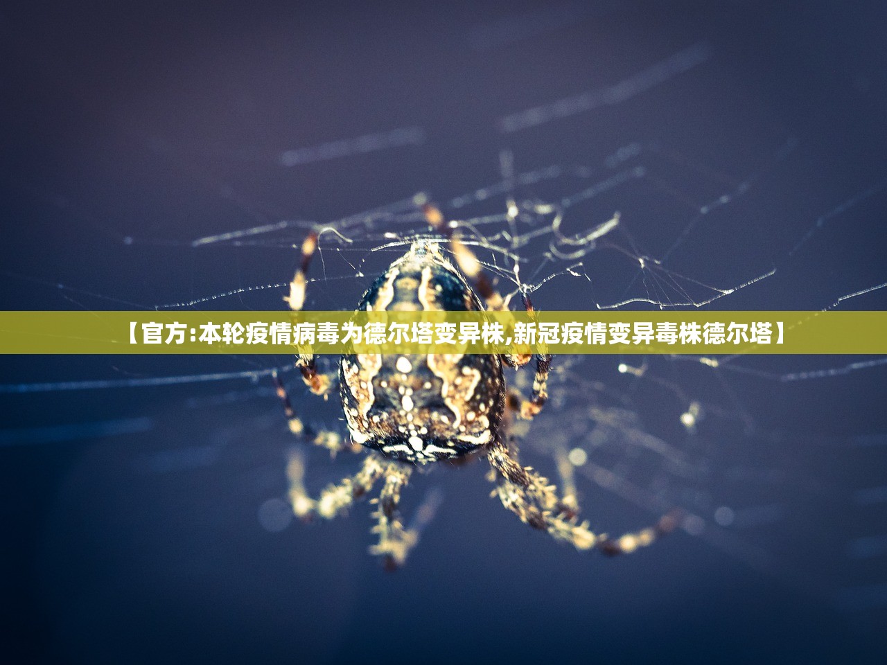 【官方:本轮疫情病毒为德尔塔变异株,新冠疫情变异毒株德尔塔】