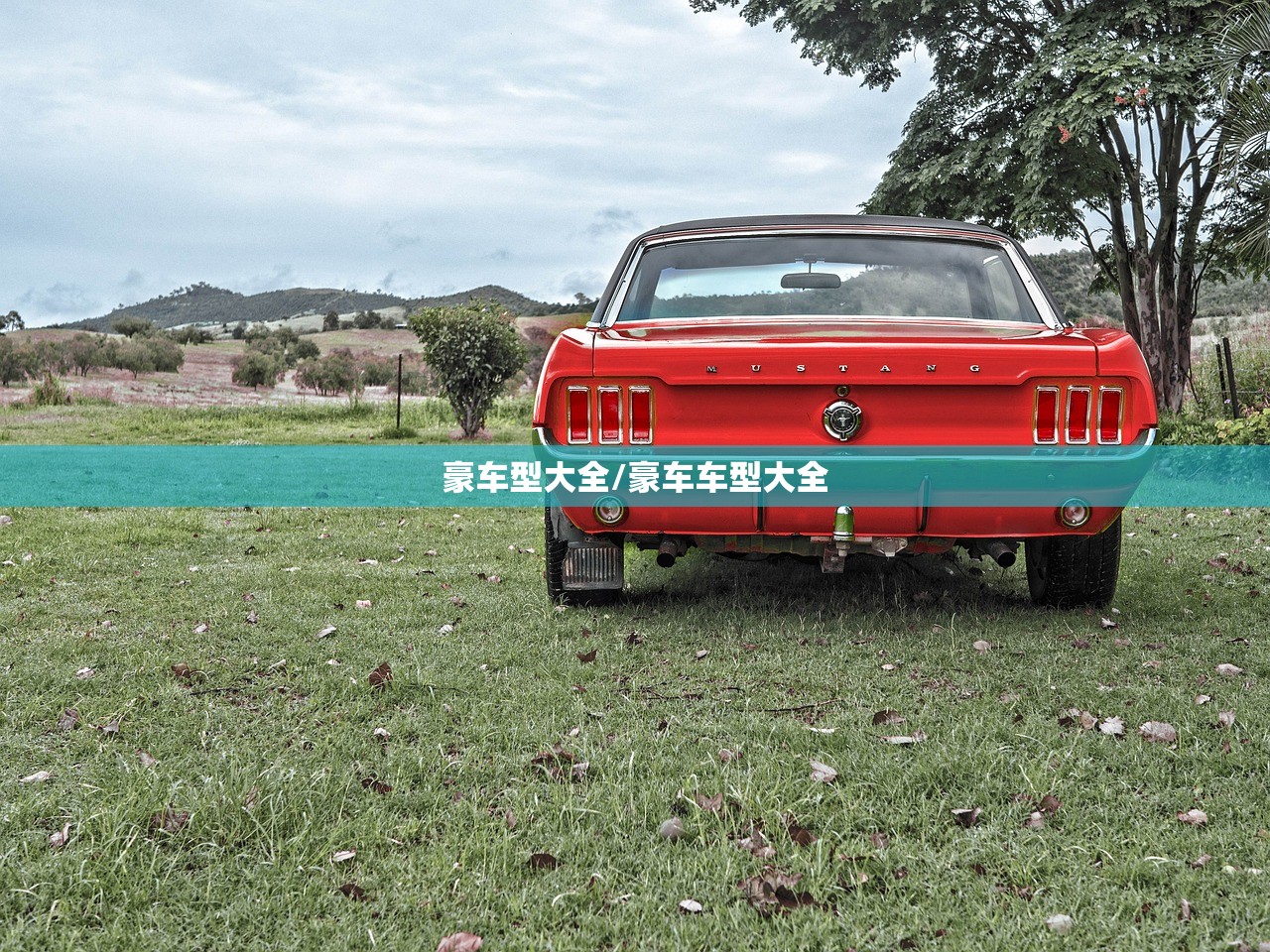 豪车型大全/豪车车型大全