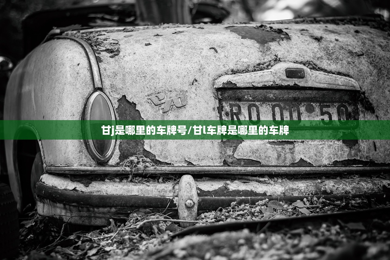 甘j是哪里的车牌号/甘l车牌是哪里的车牌