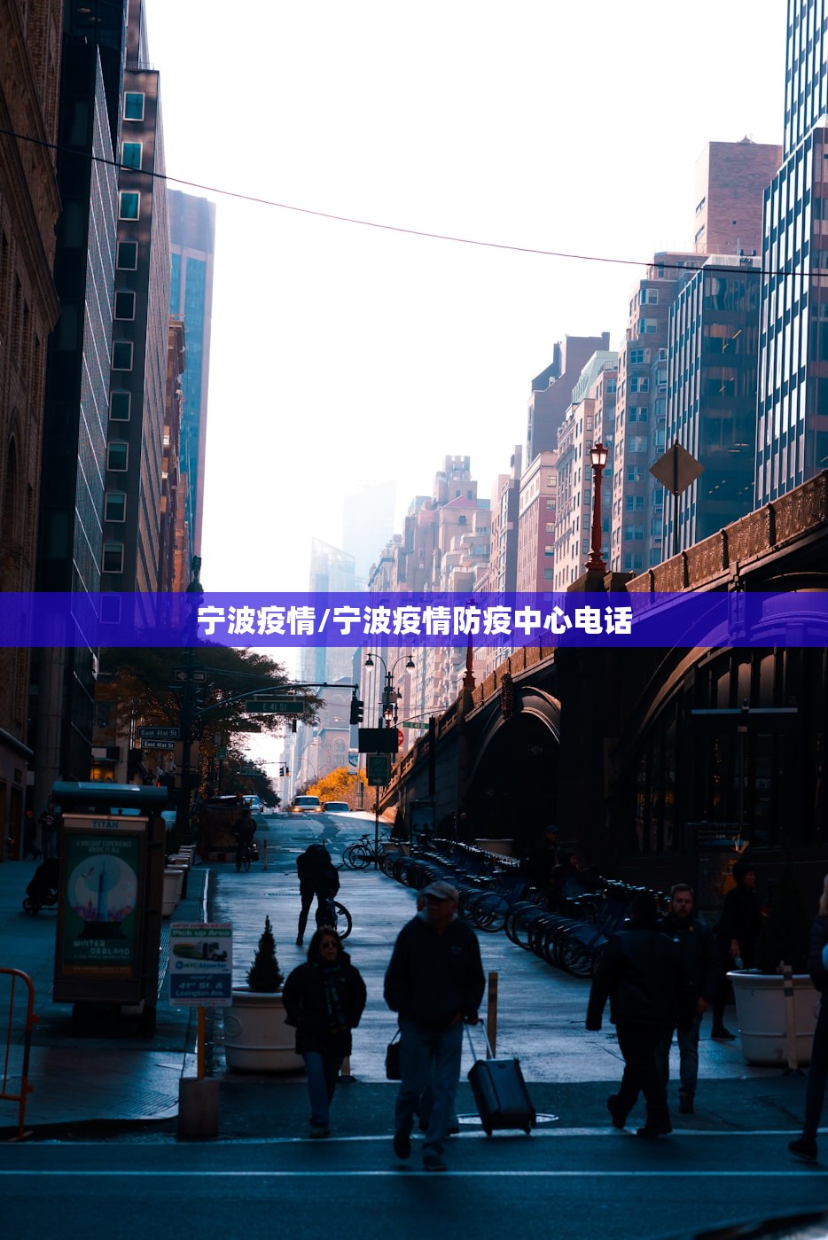 宁波疫情/宁波疫情防疫中心电话