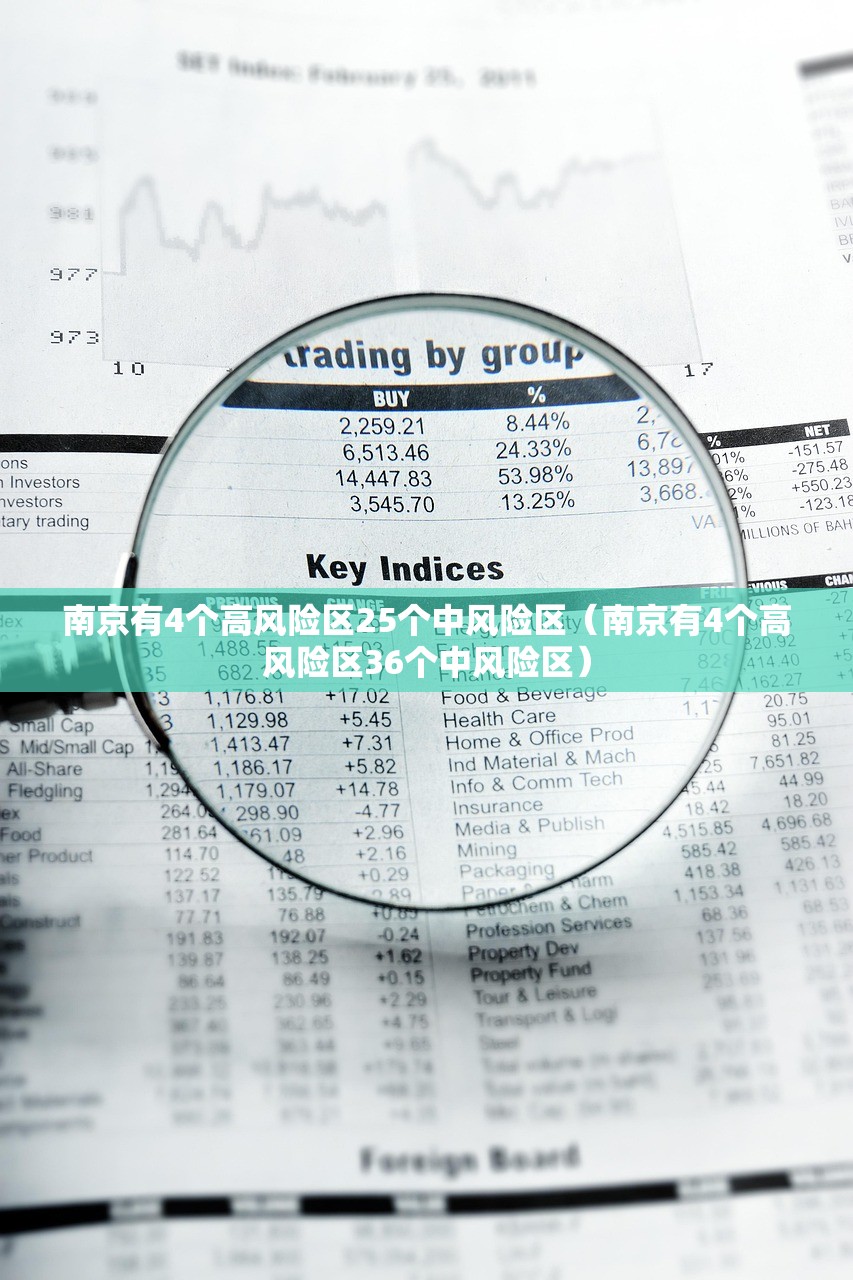 南京有4个高风险区25个中风险区（南京有4个高风险区36个中风险区）