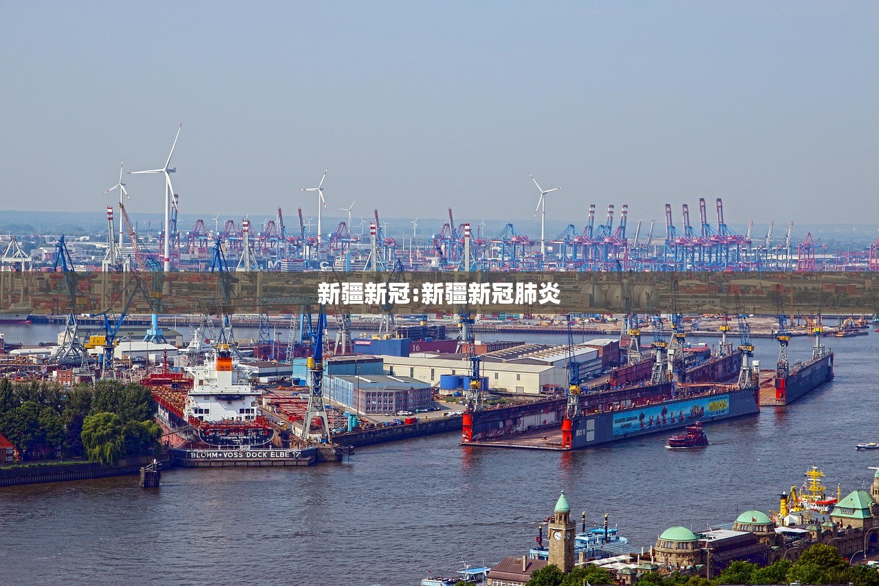 新疆新冠:新疆新冠肺炎 新疆新冠:新疆新冠肺炎