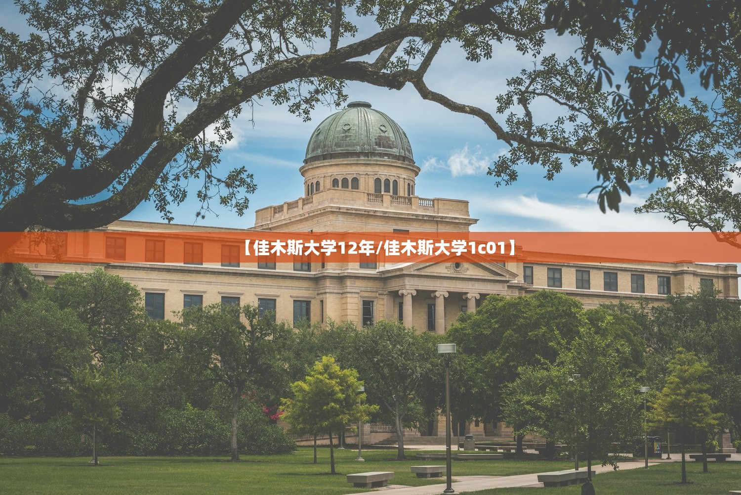 【佳木斯大学12年/佳木斯大学1c01】