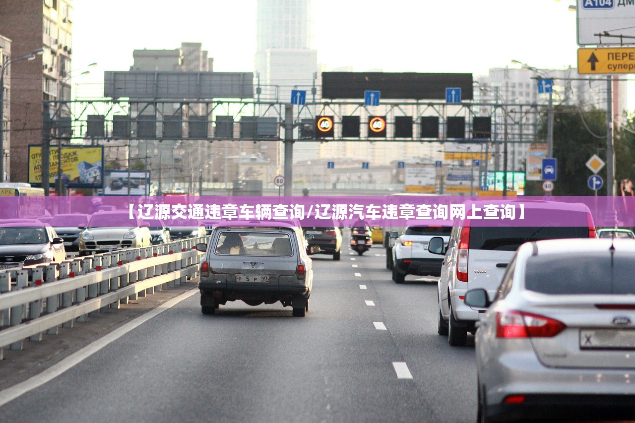 【辽源交通违章车辆查询/辽源汽车违章查询网上查询】 【辽源交通违章车辆查询/辽源汽车违章查询网上查询】