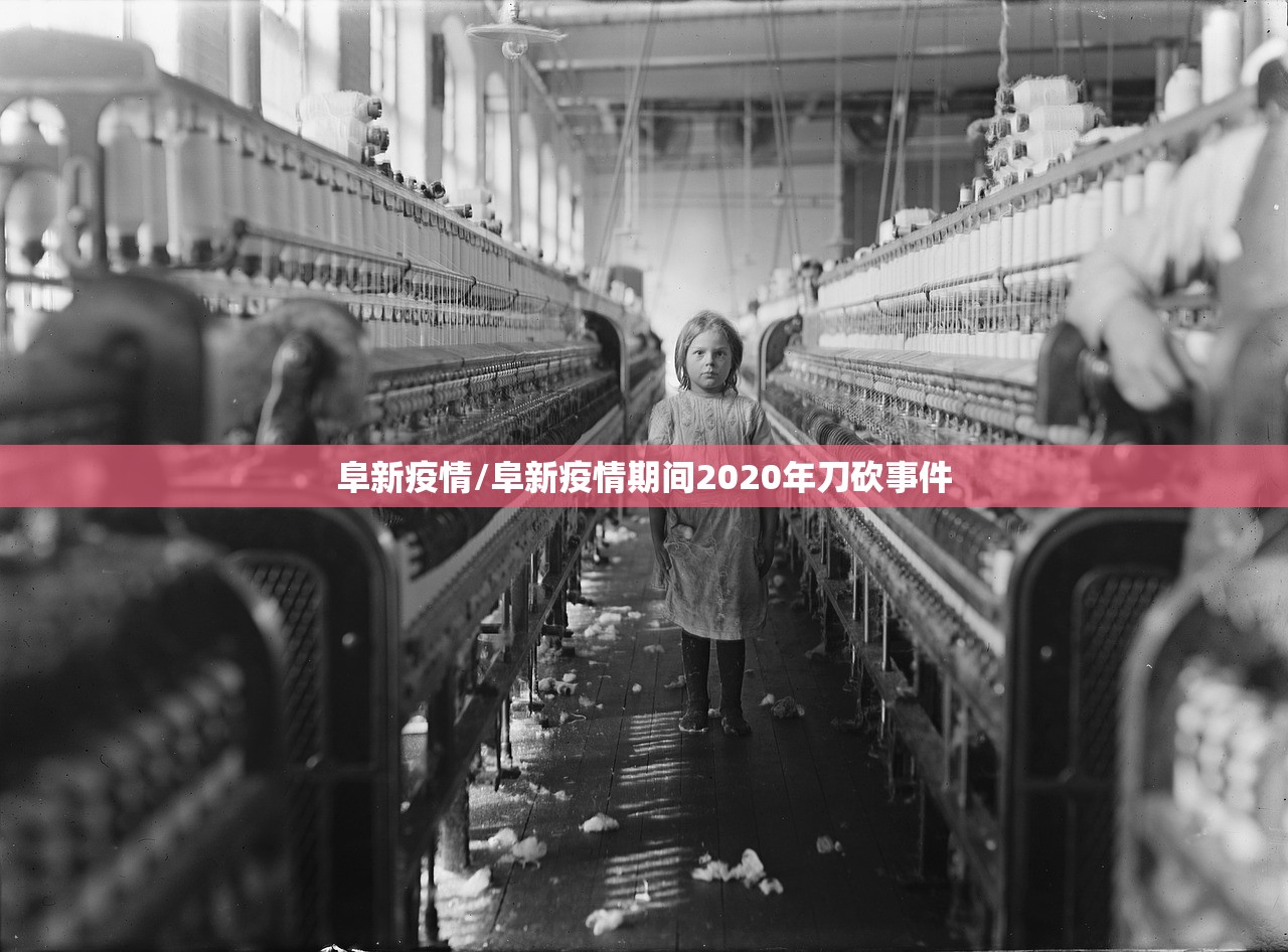 阜新疫情/阜新疫情期间2020年刀砍事件