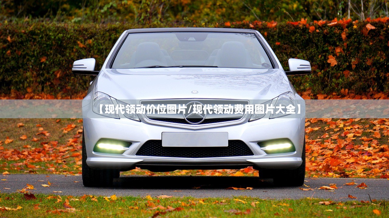 【现代领动价位图片/现代领动费用图片大全】