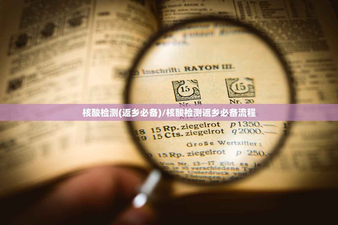 核酸检测(返乡必备)/核酸检测返乡必备流程