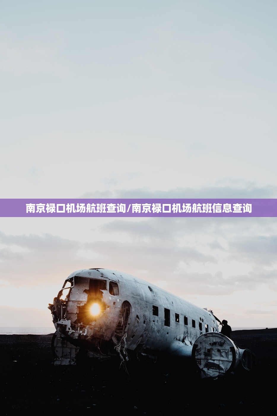 南京禄口机场航班查询/南京禄口机场航班信息查询