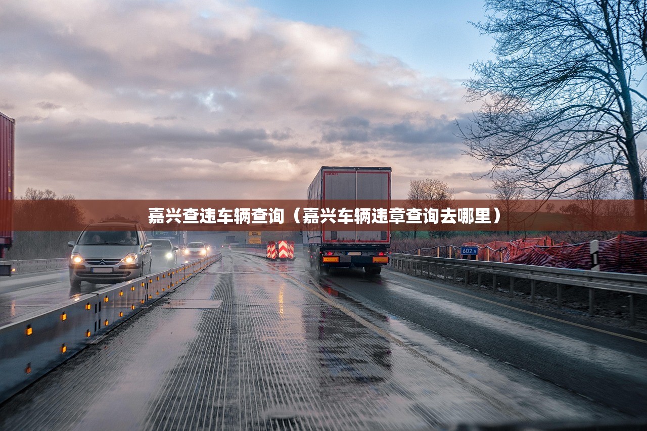 嘉兴查违车辆查询（嘉兴车辆违章查询去哪里）