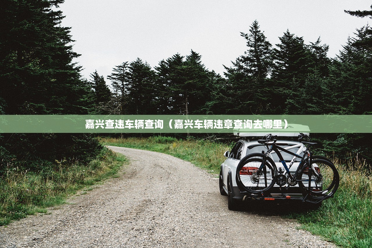 嘉兴查违车辆查询（嘉兴车辆违章查询去哪里）