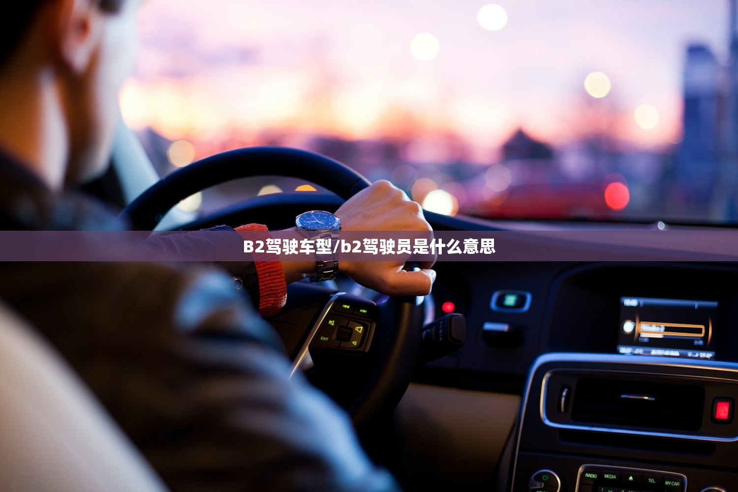B2驾驶车型/b2驾驶员是什么意思