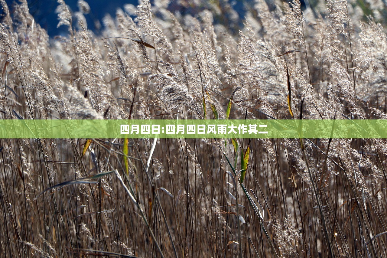 四月四日:四月四日风雨大作其二