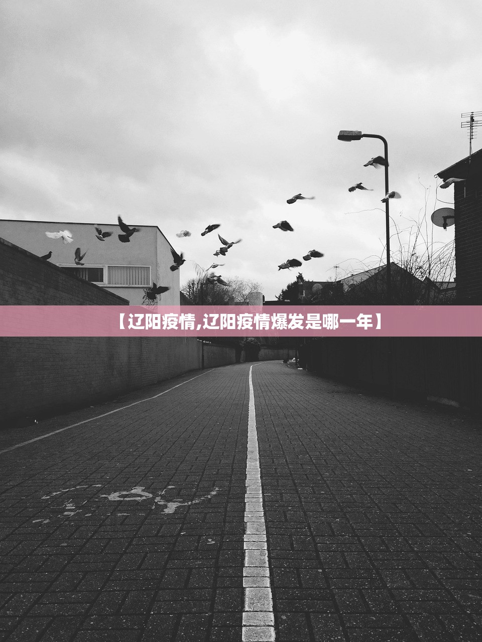 【辽阳疫情,辽阳疫情爆发是哪一年】