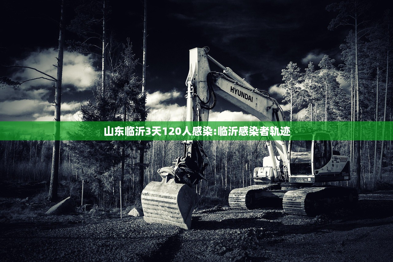 山东临沂3天120人感染:临沂感染者轨迹