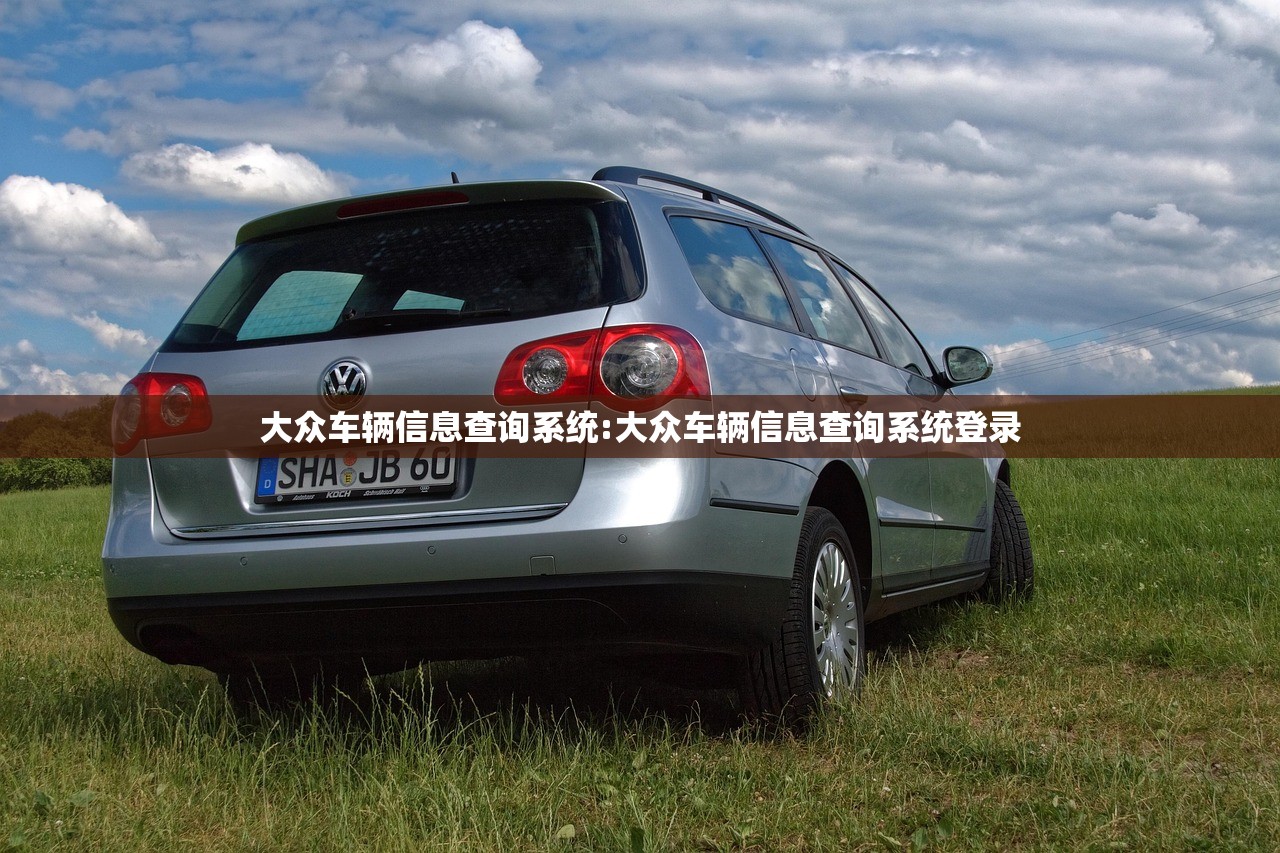 大众车辆信息查询系统:大众车辆信息查询系统登录