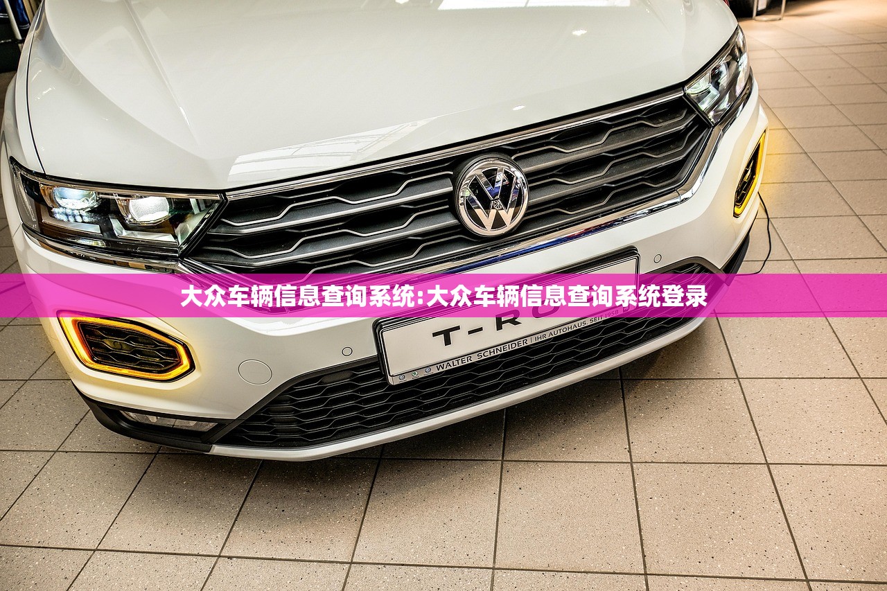 大众车辆信息查询系统:大众车辆信息查询系统登录