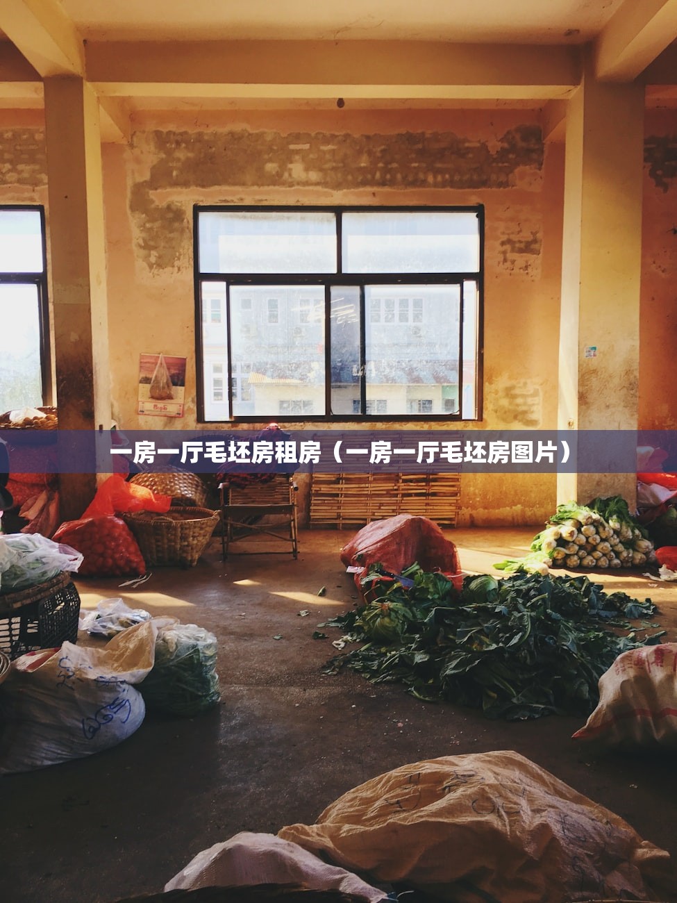 一房一厅毛坯房租房(一房一厅毛坯房图片) 一房一厅毛坯房租房(一房一厅毛坯房图片)