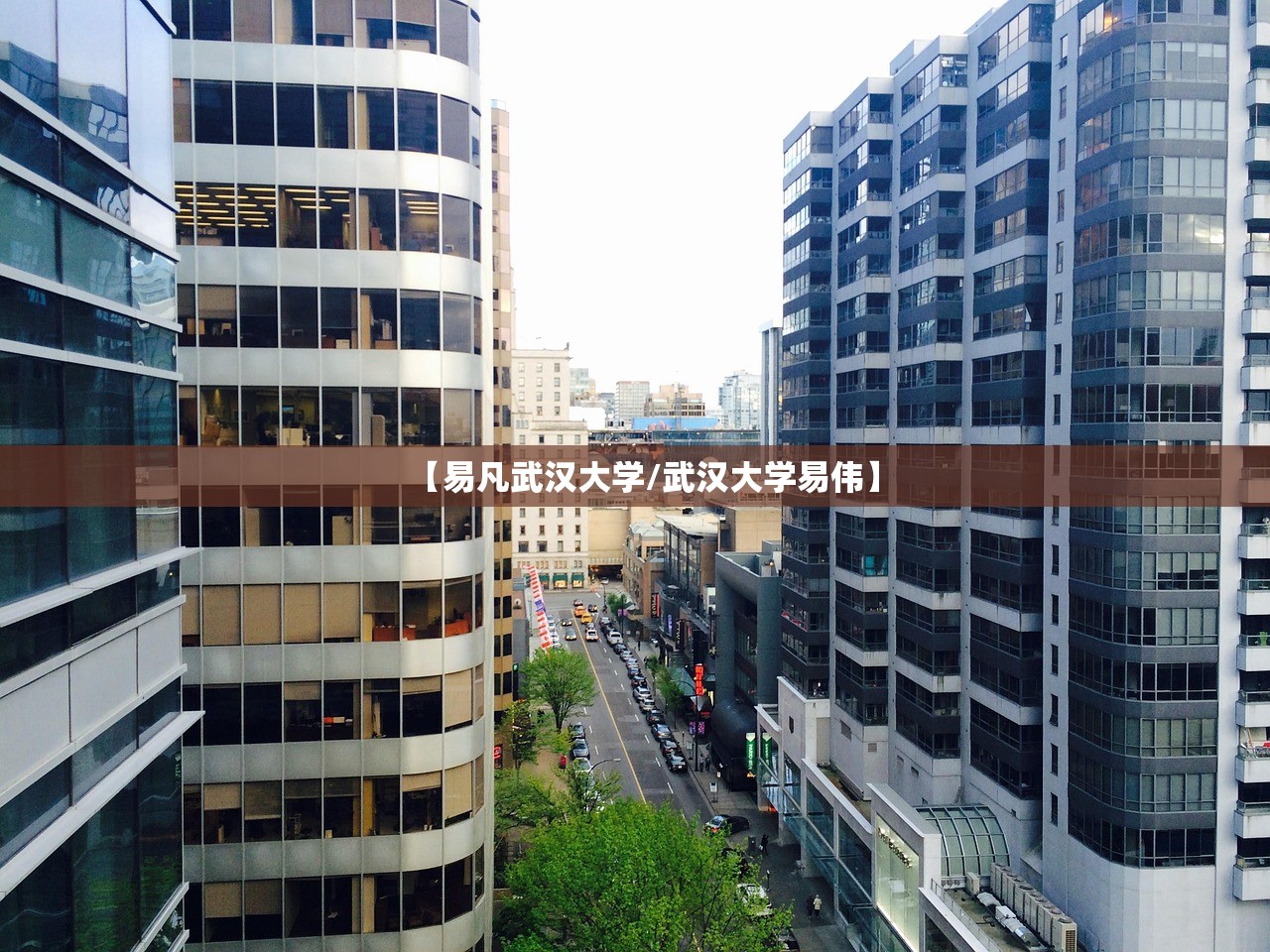 【易凡武汉大学/武汉大学易伟】