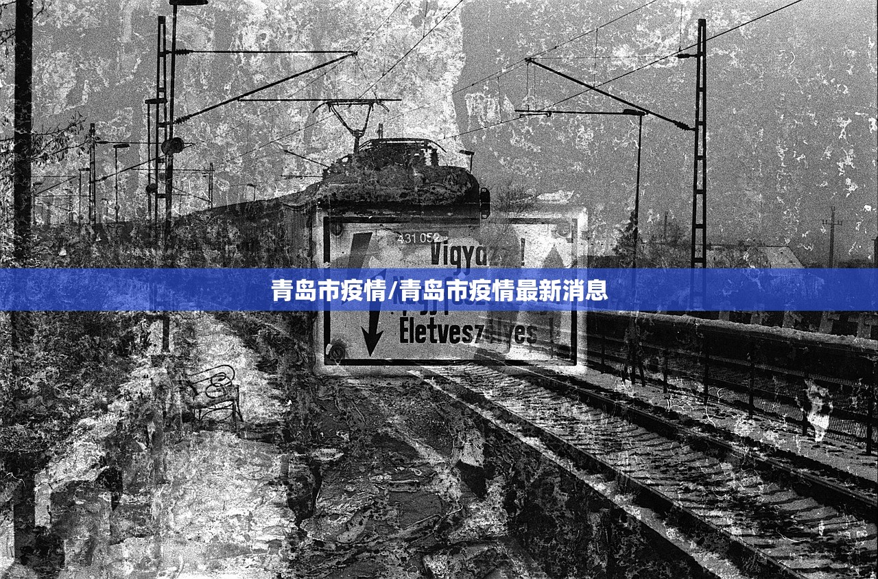 青岛市疫情/青岛市疫情最新消息