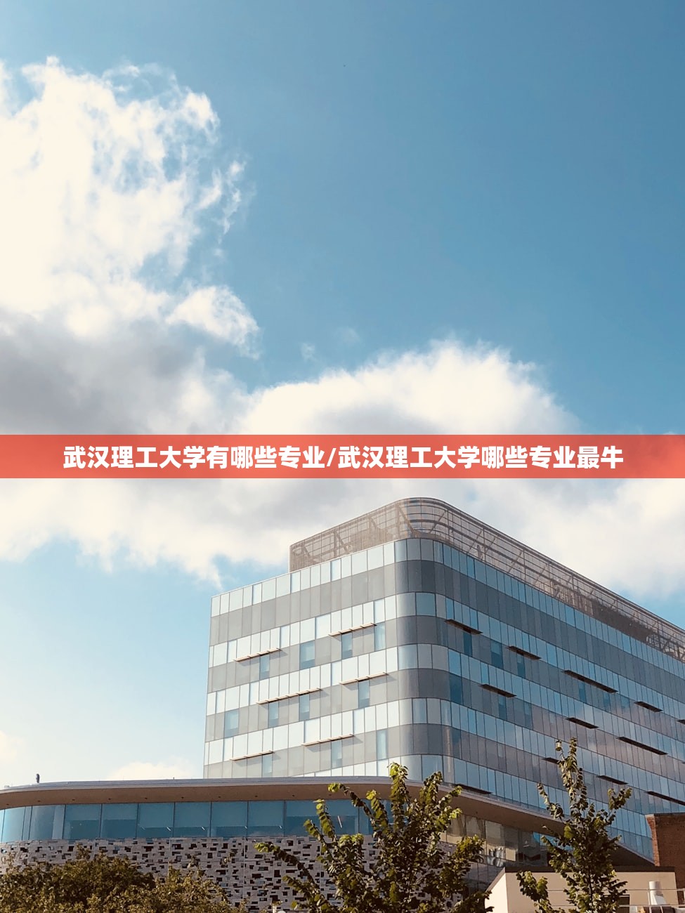 武汉理工大学有哪些专业/武汉理工大学哪些专业最牛