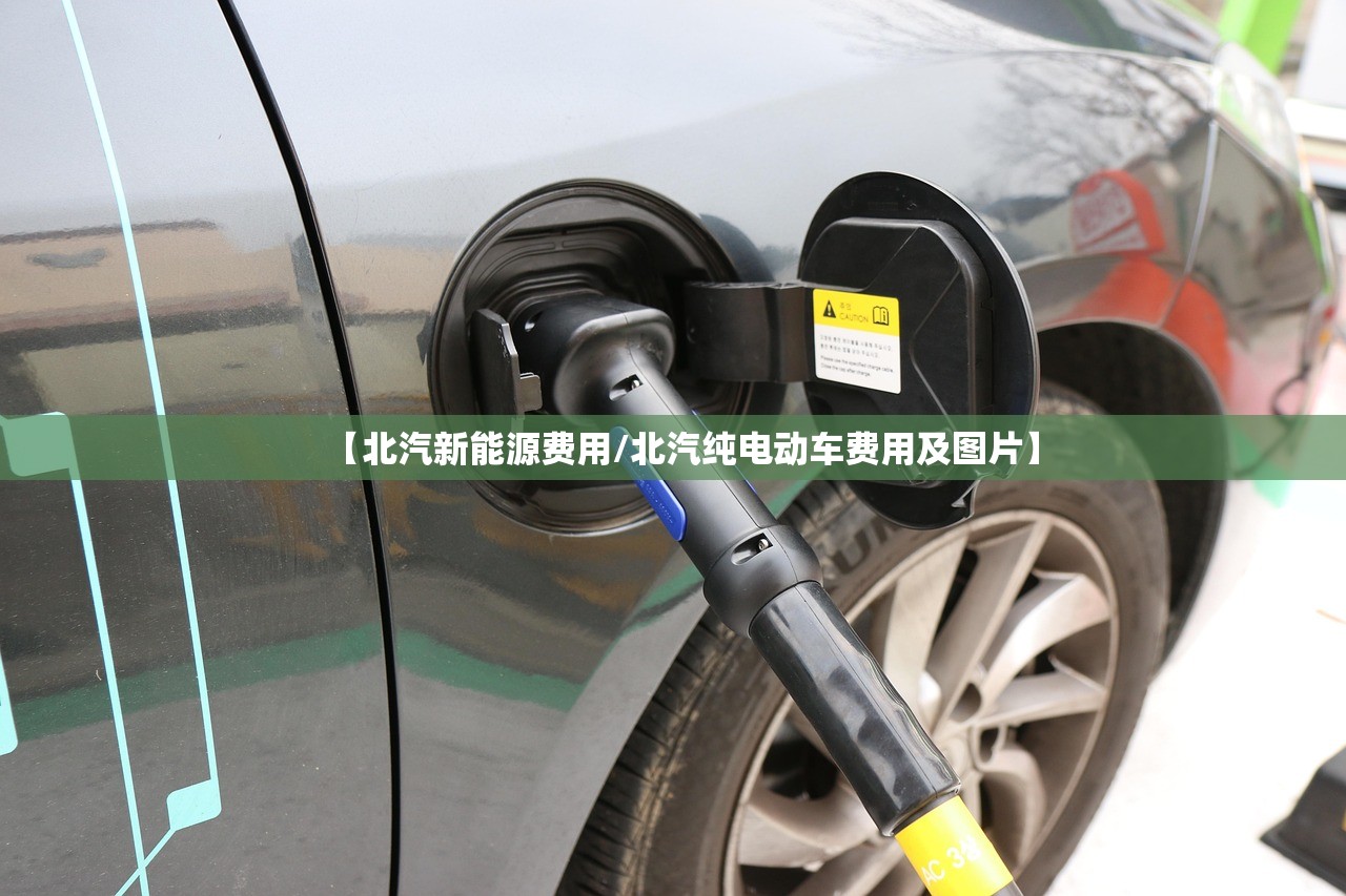 【北汽新能源费用/北汽纯电动车费用及图片】