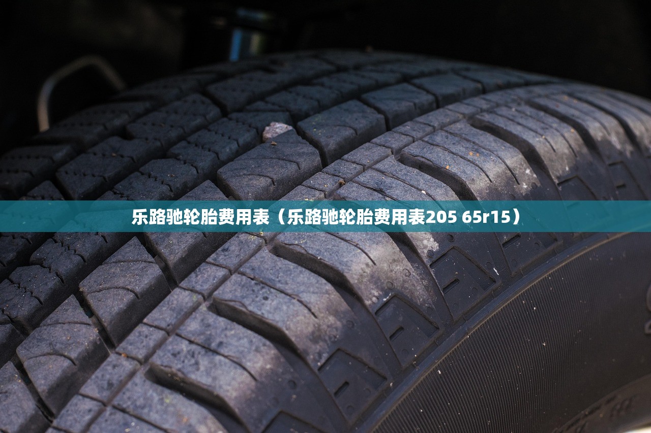 乐路驰轮胎费用表（乐路驰轮胎费用表205 65r15）