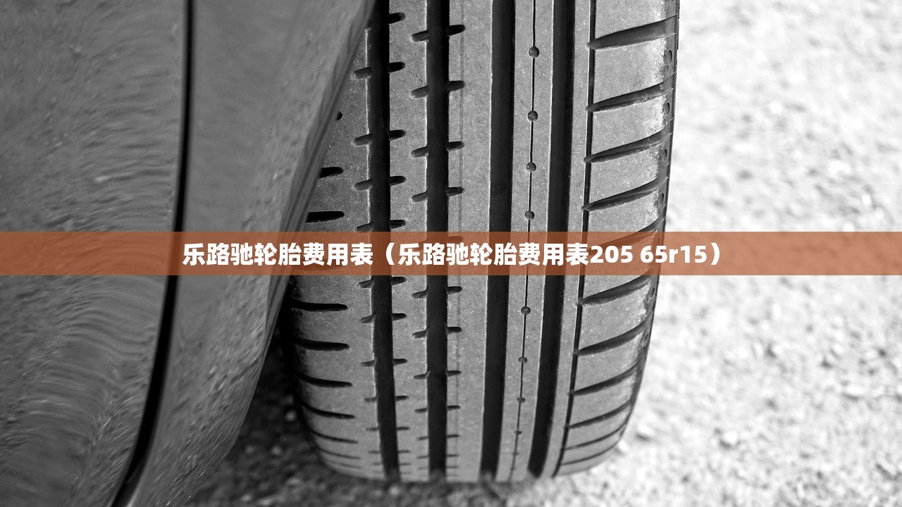 乐路驰轮胎费用表（乐路驰轮胎费用表205 65r15）