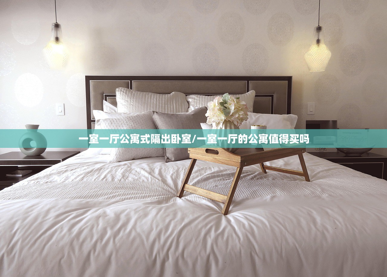 一室一厅公寓式隔出卧室/一室一厅的公寓值得买吗