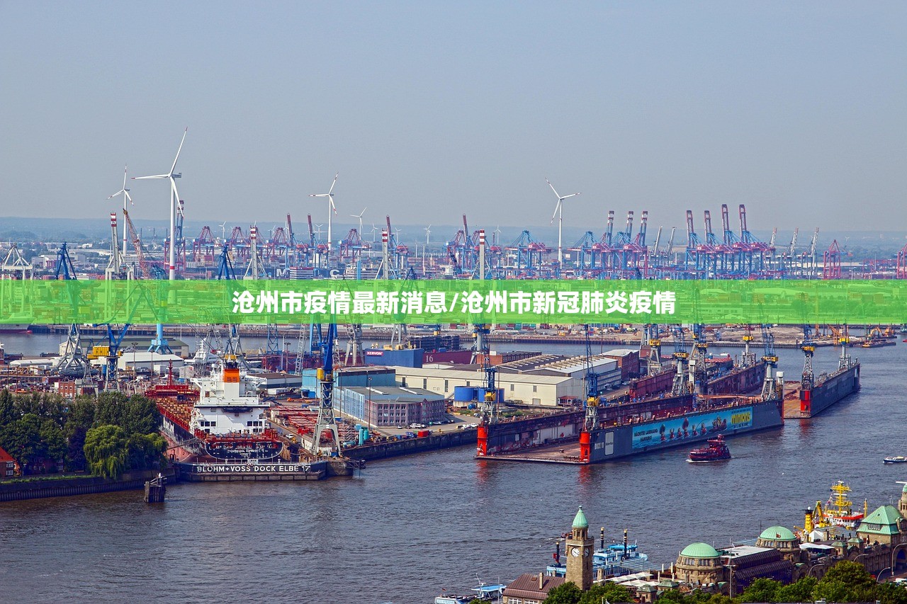 沧州市疫情最新消息/沧州市新冠肺炎疫情 沧州市疫情最新消息/沧州市新冠肺炎疫情