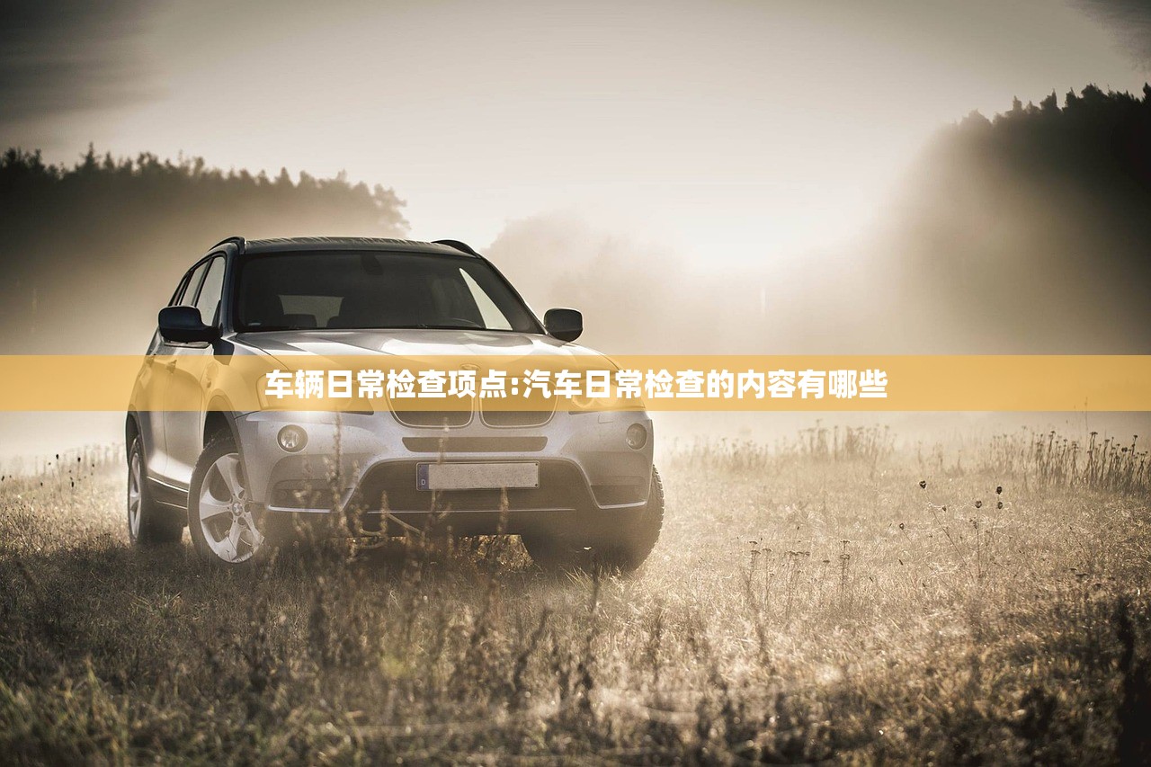 车辆日常检查项点:汽车日常检查的内容有哪些