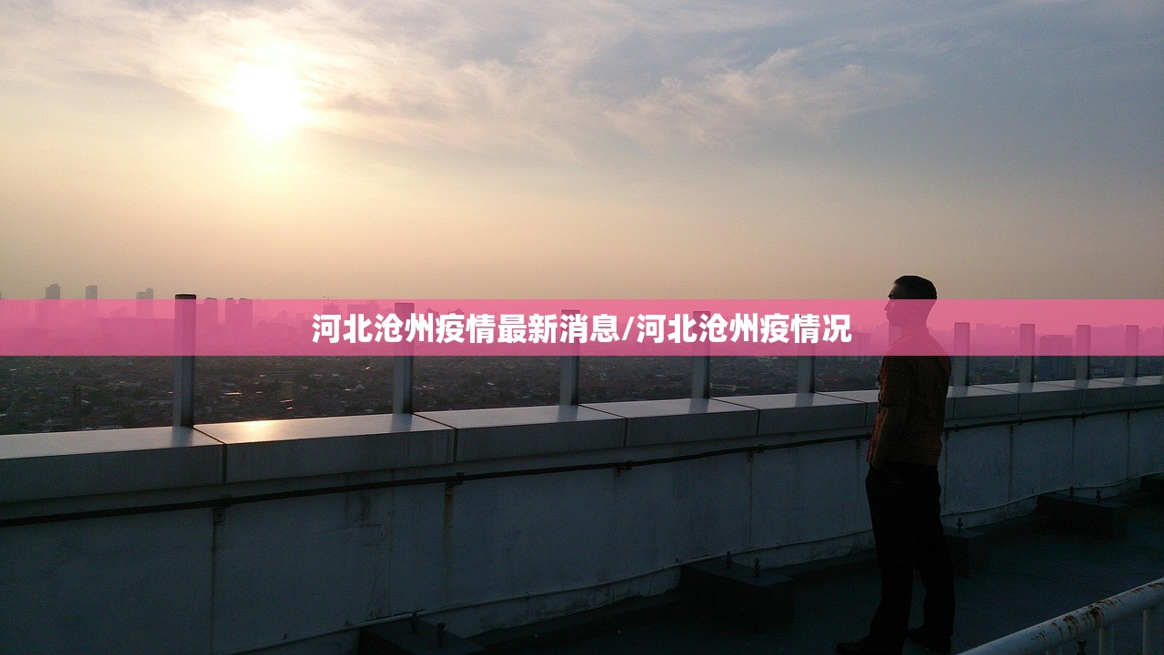河北沧州疫情最新消息/河北沧州疫情况