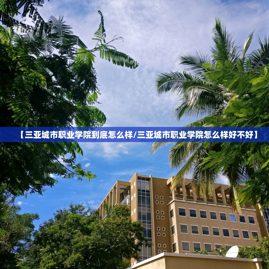【三亚城市职业学院到底怎么样/三亚城市职业学院怎么样好不好】