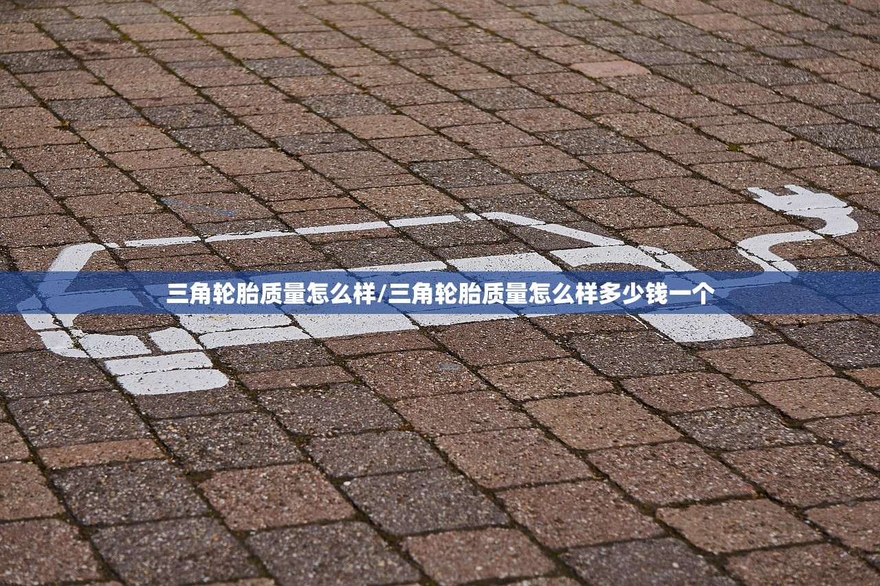 三角轮胎质量怎么样/三角轮胎质量怎么样多少钱一个