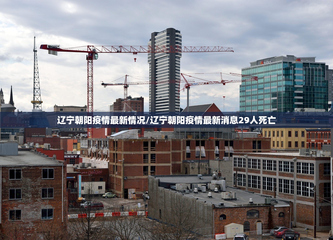 辽宁朝阳疫情最新情况/辽宁朝阳疫情最新消息29人死亡