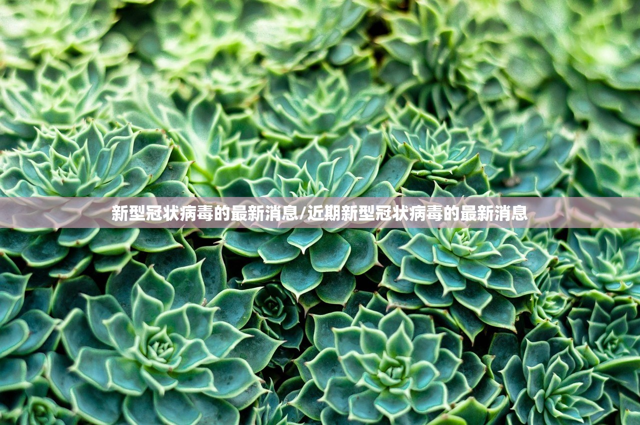 新型冠状病毒的最新消息/近期新型冠状病毒的最新消息