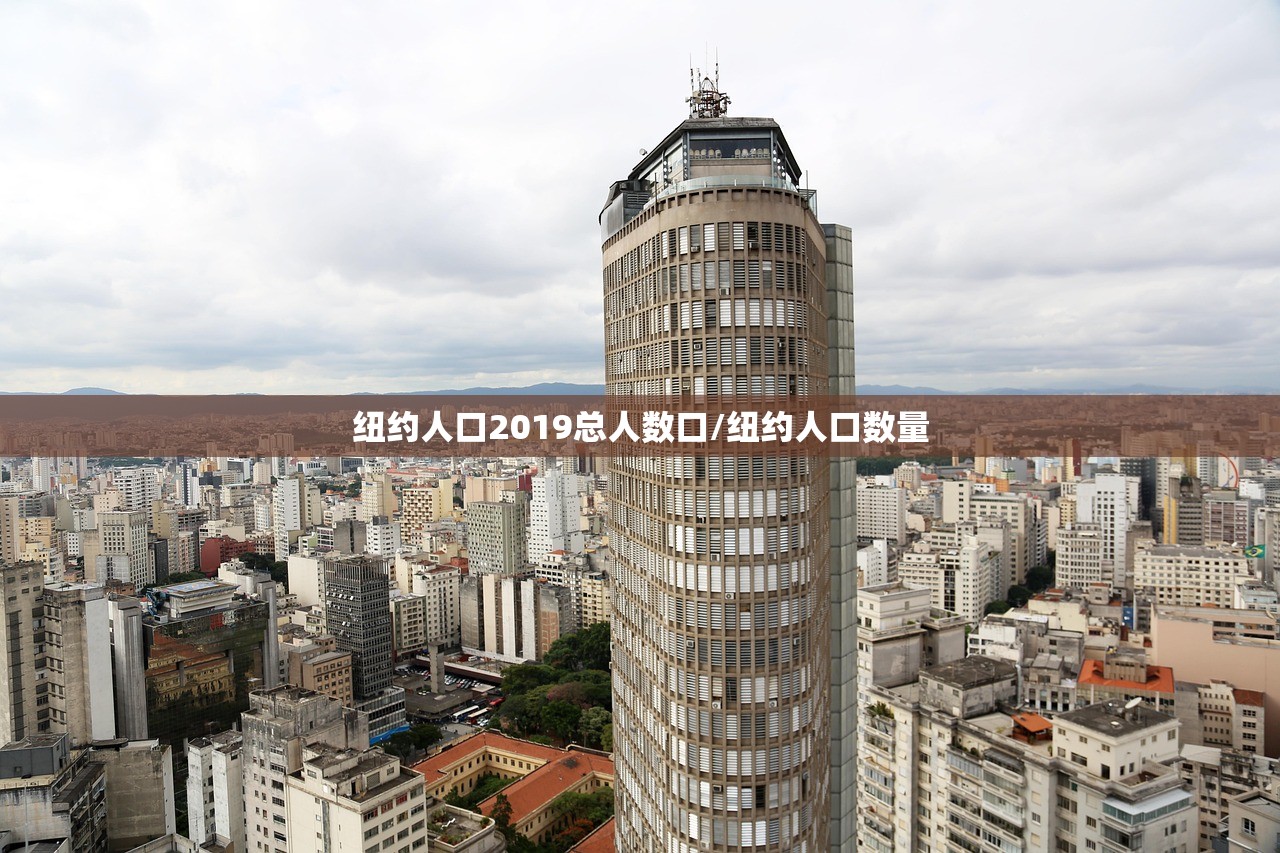 纽约人口2019总人数口/纽约人口数量