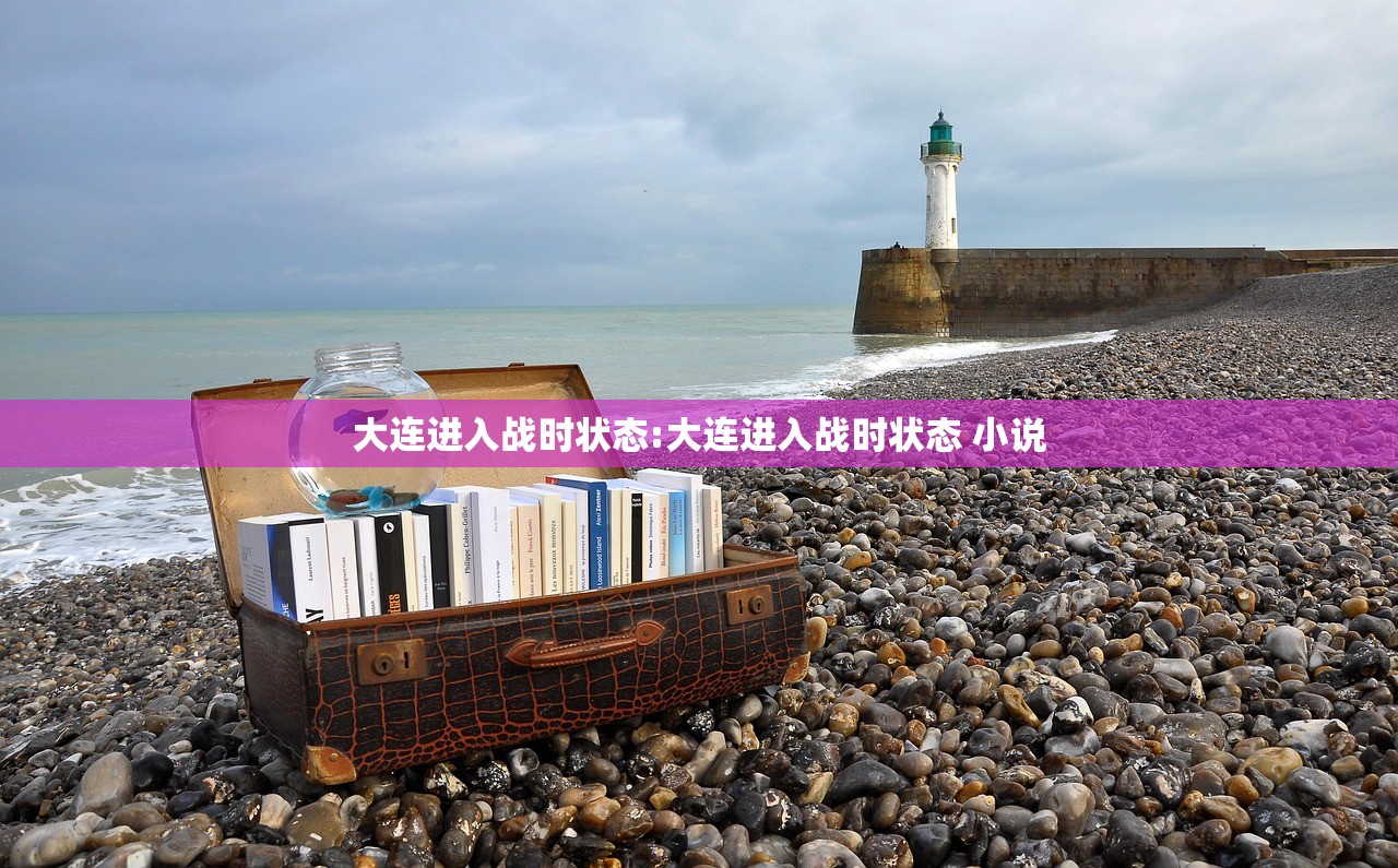 大连进入战时状态:大连进入战时状态 小说