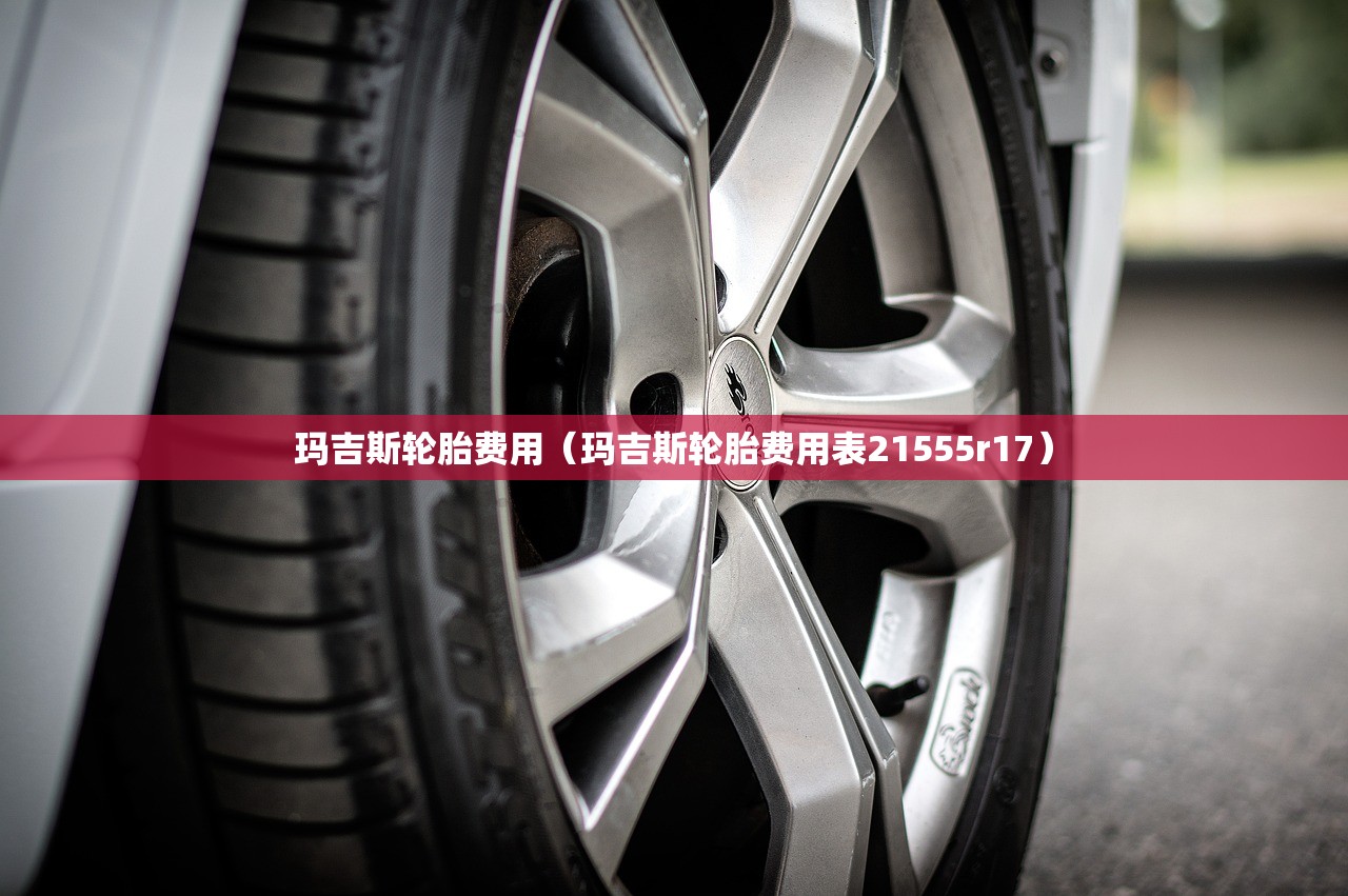玛吉斯轮胎费用（玛吉斯轮胎费用表21555r17）