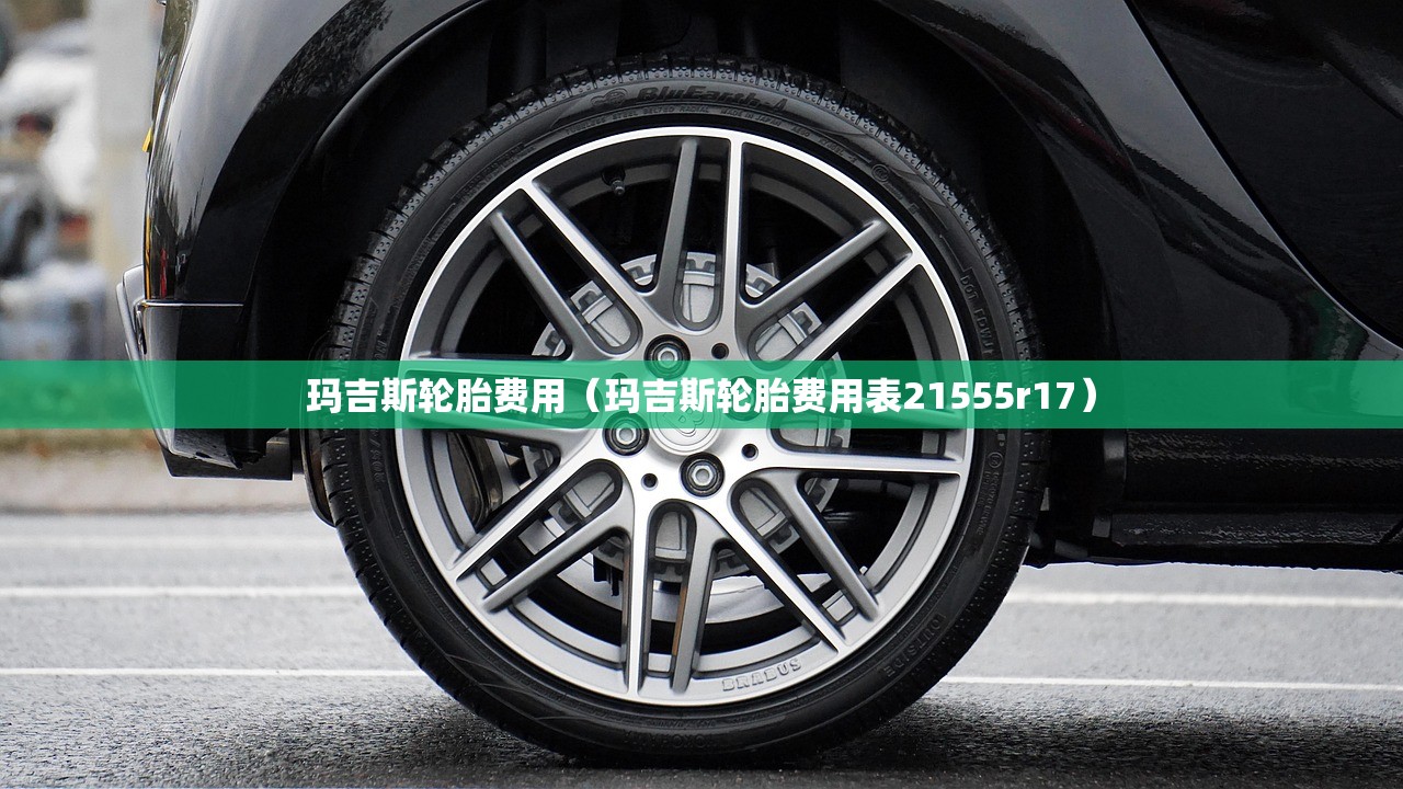 玛吉斯轮胎费用（玛吉斯轮胎费用表21555r17）