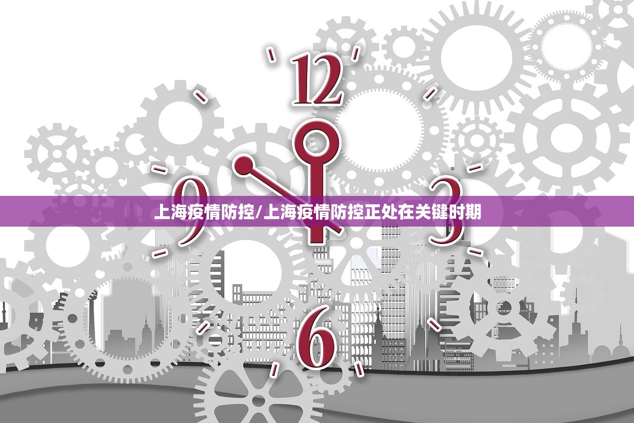 上海疫情防控/上海疫情防控正处在关键时期