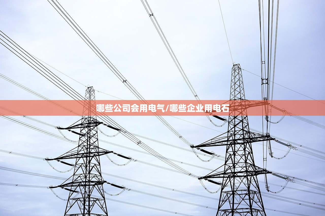 哪些公司会用电气/哪些企业用电石