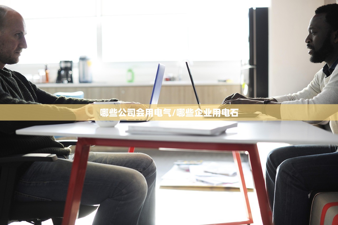 哪些公司会用电气/哪些企业用电石