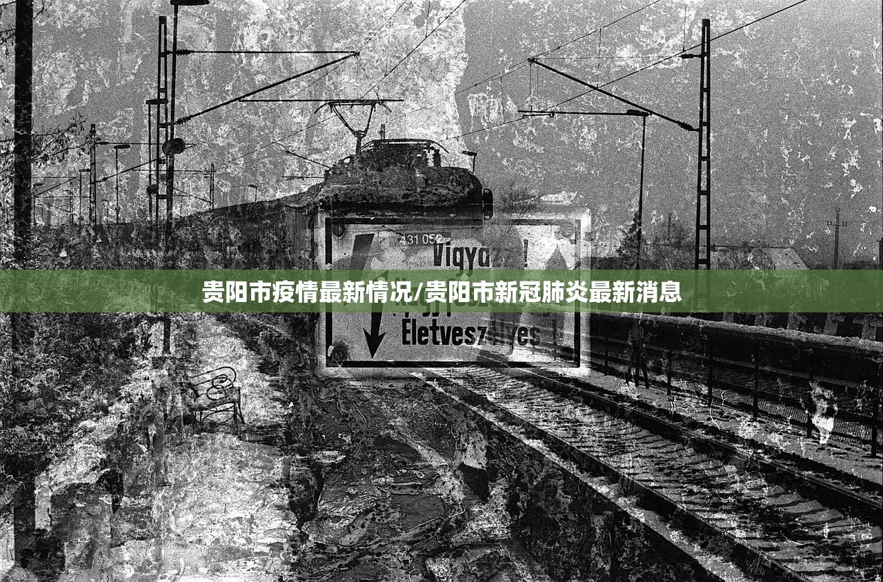 贵阳市疫情最新情况/贵阳市新冠肺炎最新消息