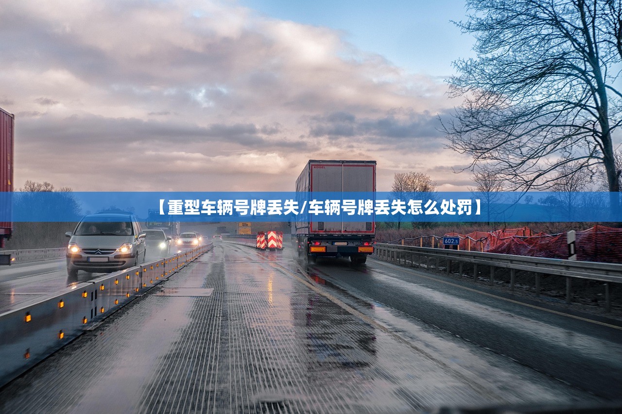 【重型车辆号牌丢失/车辆号牌丢失怎么处罚】