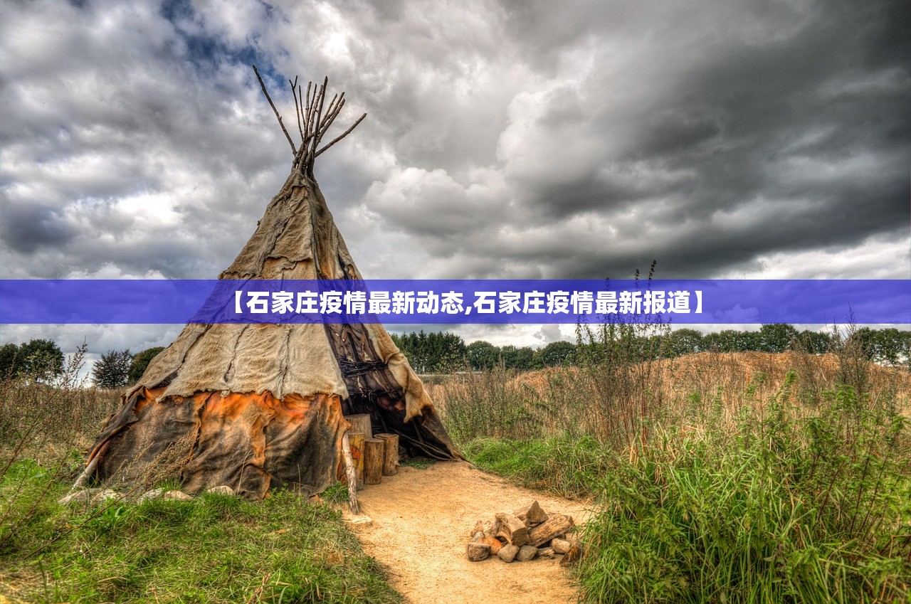 【石家庄疫情最新动态,石家庄疫情最新报道】