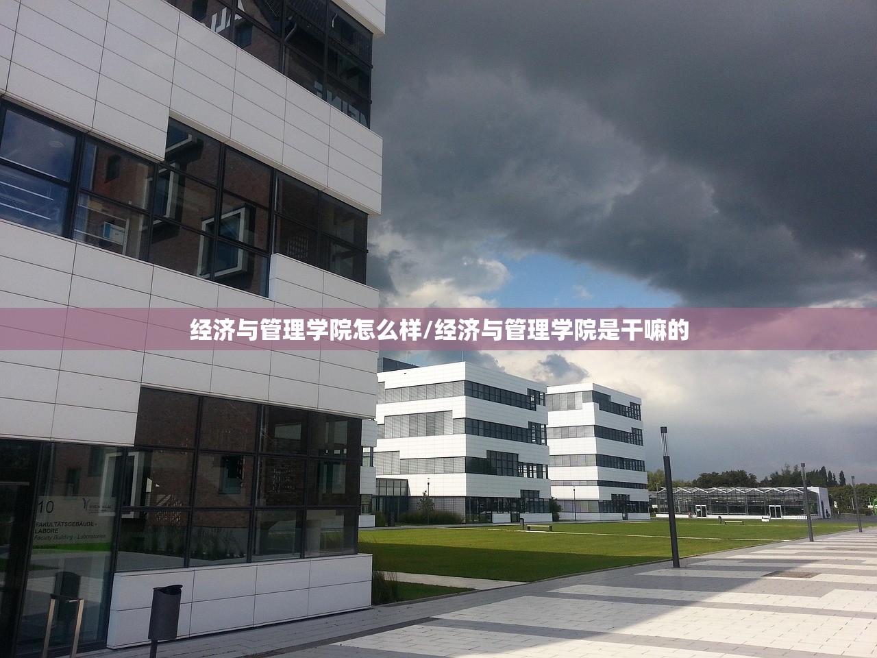 经济与管理学院怎么样/经济与管理学院是干嘛的