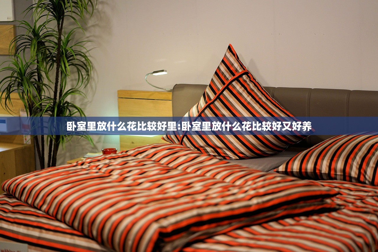卧室里放什么花比较好里:卧室里放什么花比较好又好养