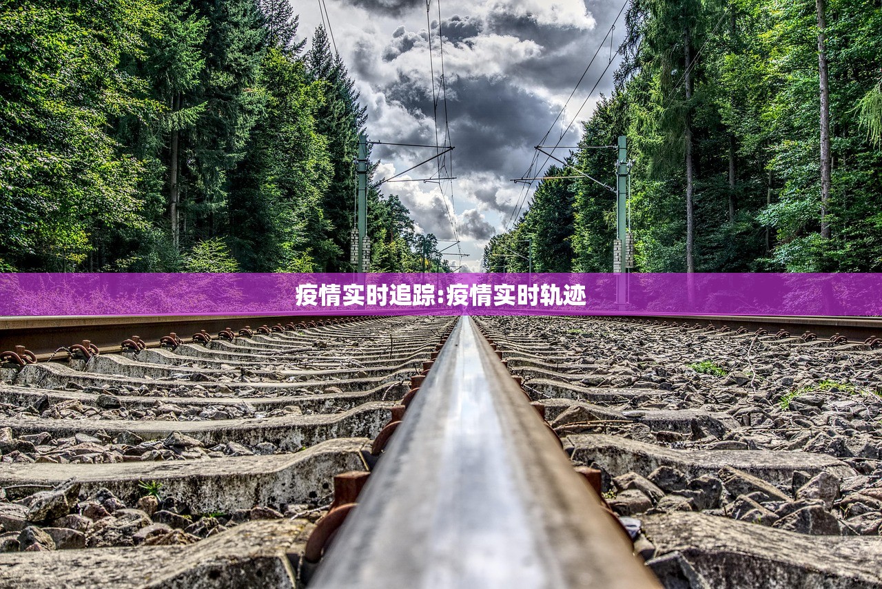 疫情实时追踪:疫情实时轨迹