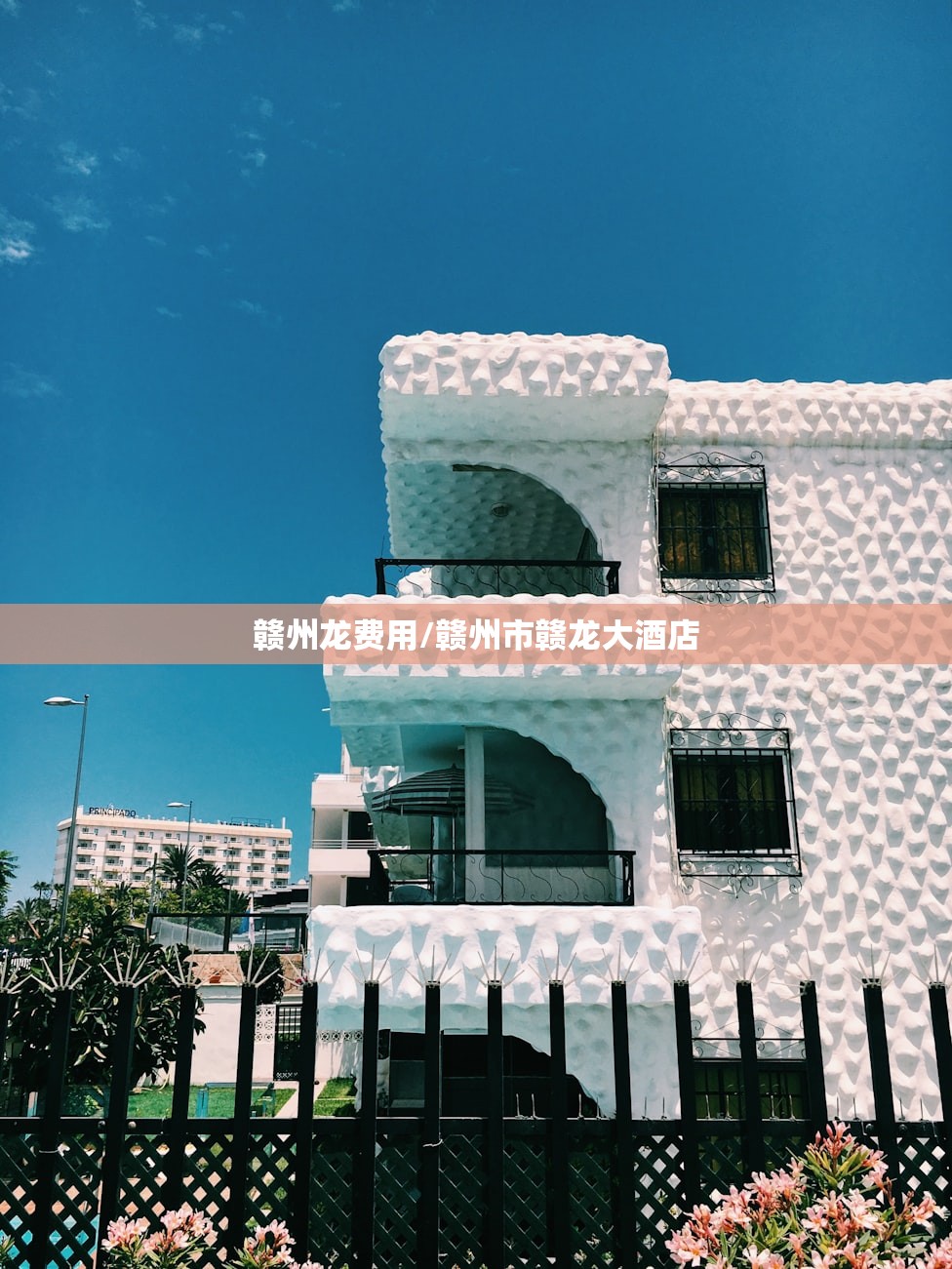 赣州龙费用/赣州市赣龙大酒店