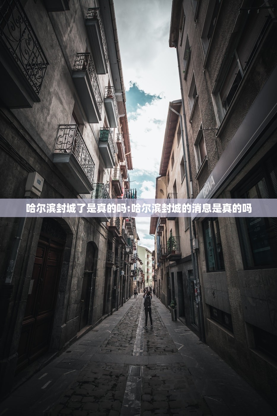 哈尔滨封城了是真的吗:哈尔滨封城的消息是真的吗